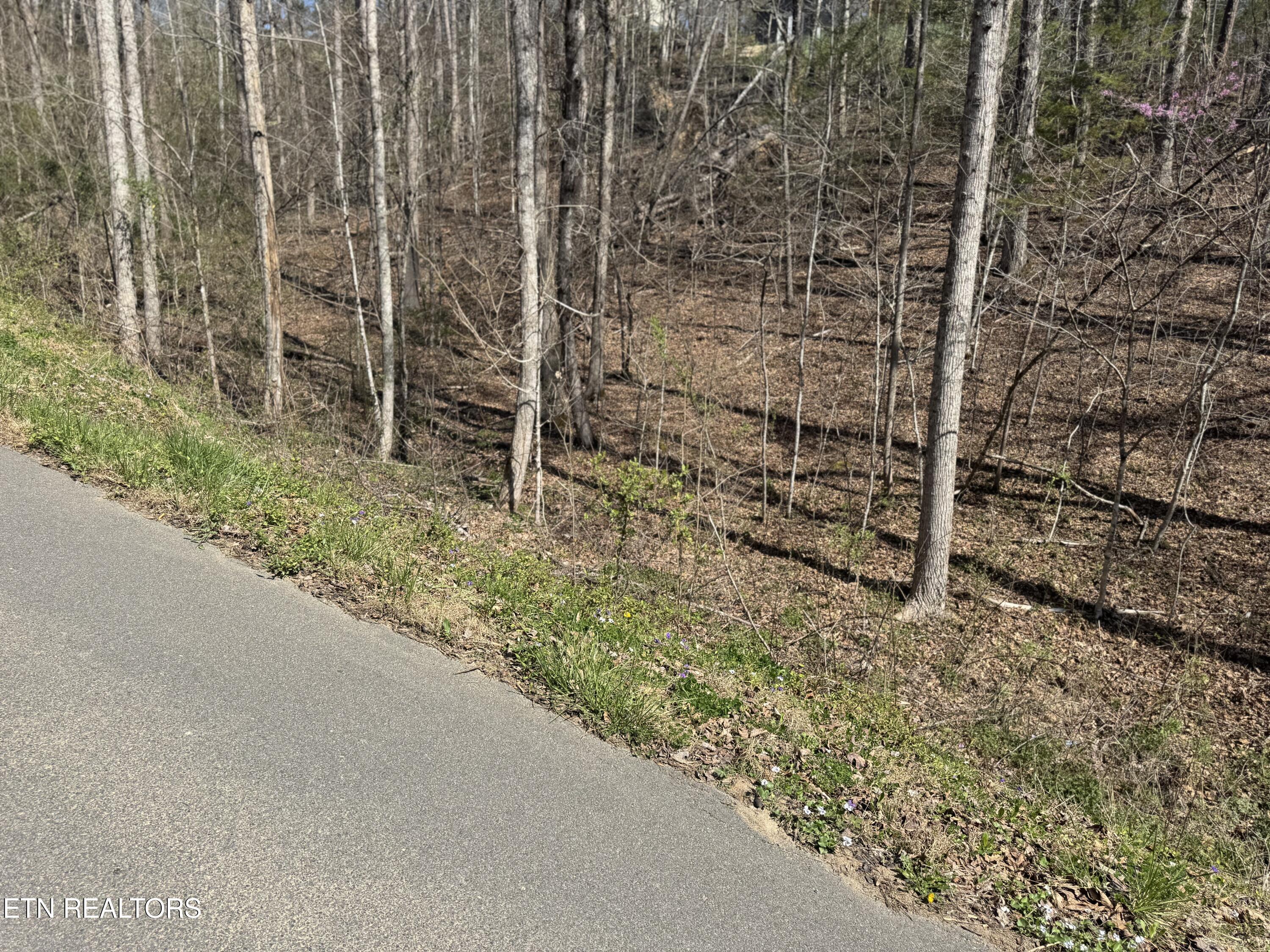 0 Fiesta Boulevard Sevierville TN 37876