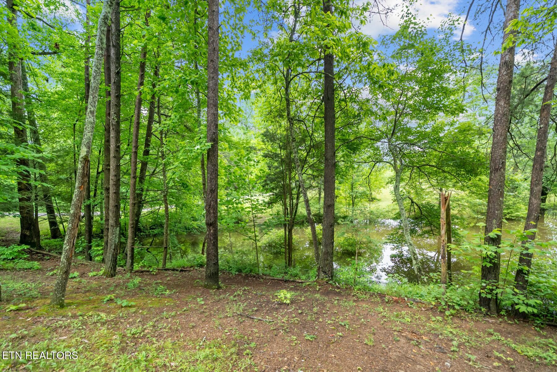 0.42AC Siever Road Crossville TN 38572