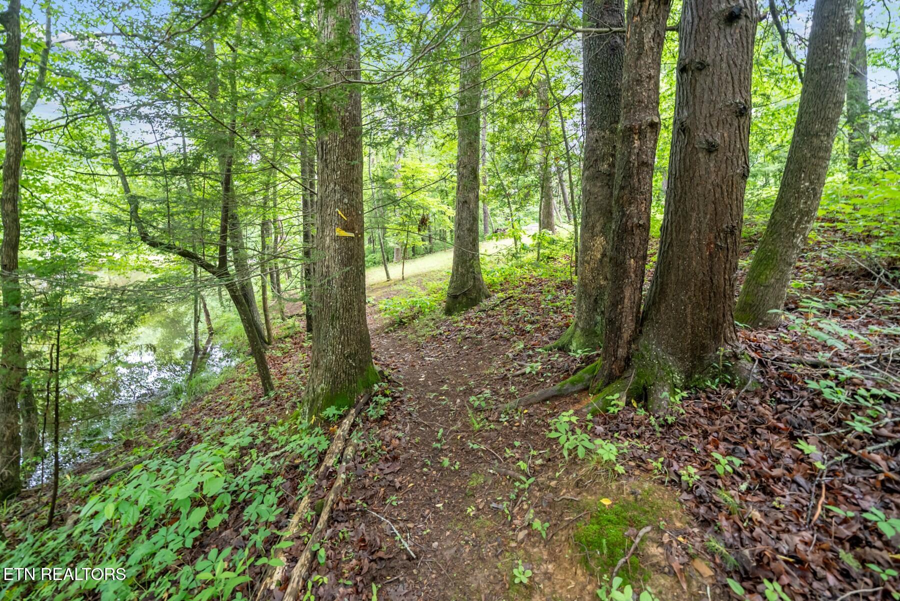0.42AC Siever Road Crossville TN 38572