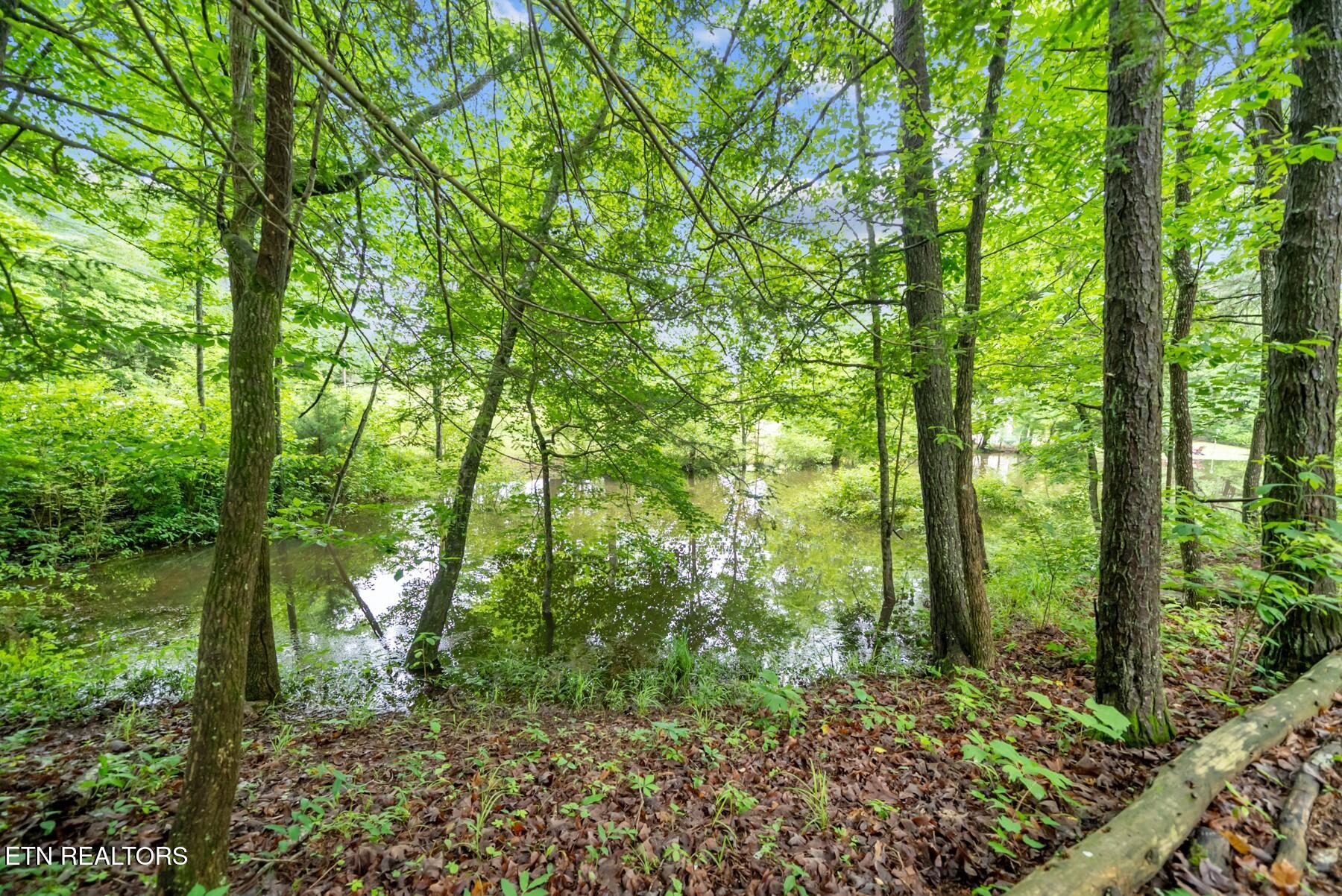 0.42AC Siever Road Crossville TN 38572