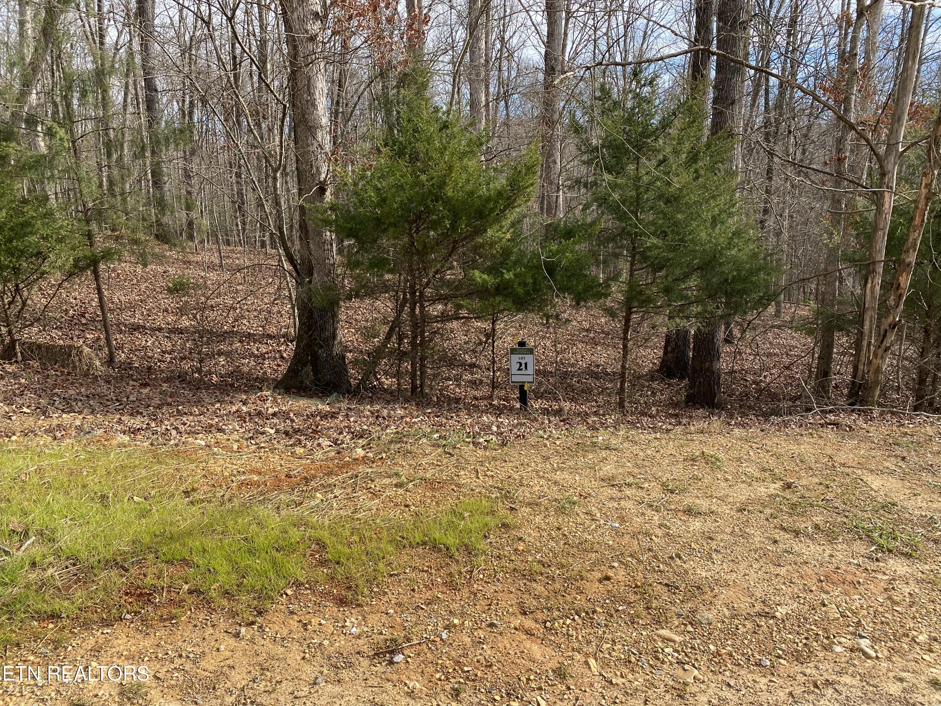 1566 Old Dogwood Trail Loudon TN 37774