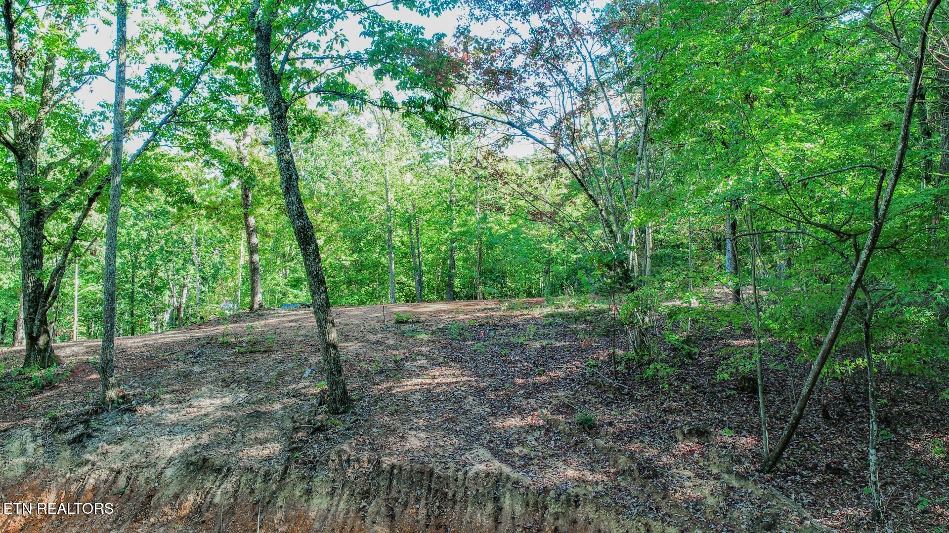 133 Huffman Way Newport TN 37821