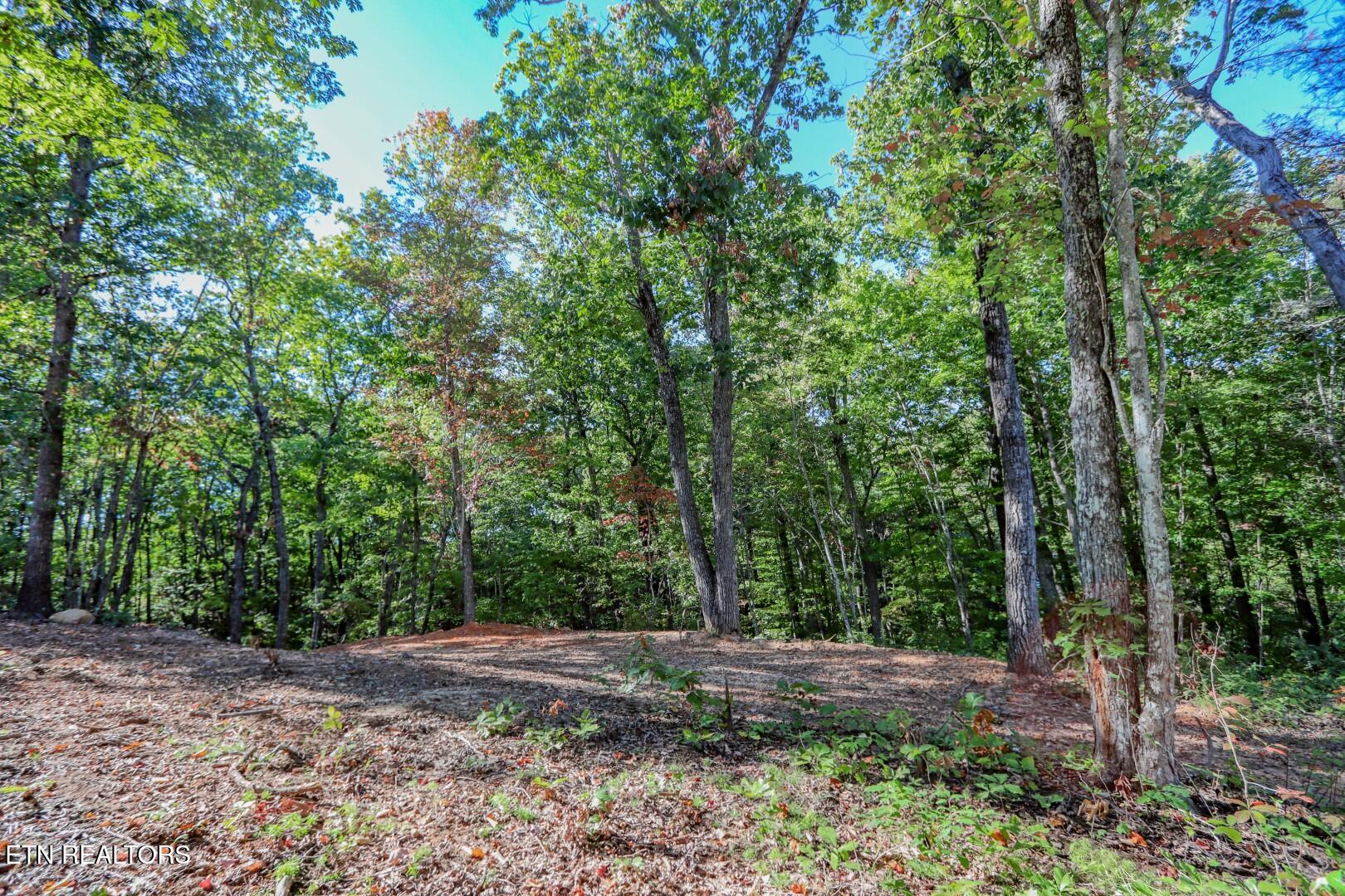 133 Huffman Way Newport TN 37821