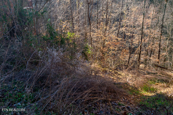636 Stockton Drive Sevierville TN 37876