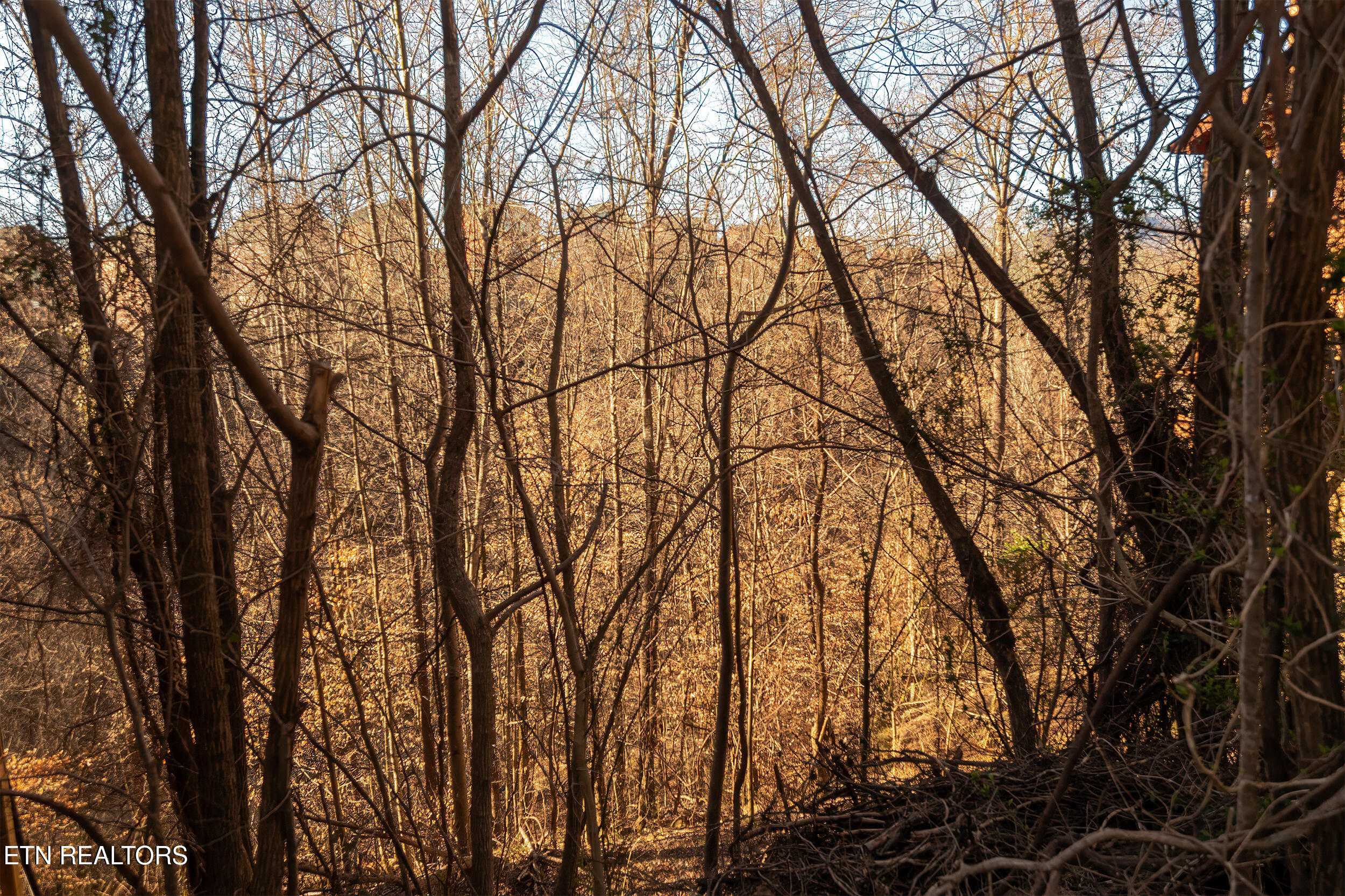 636 Stockton Drive Sevierville TN 37876