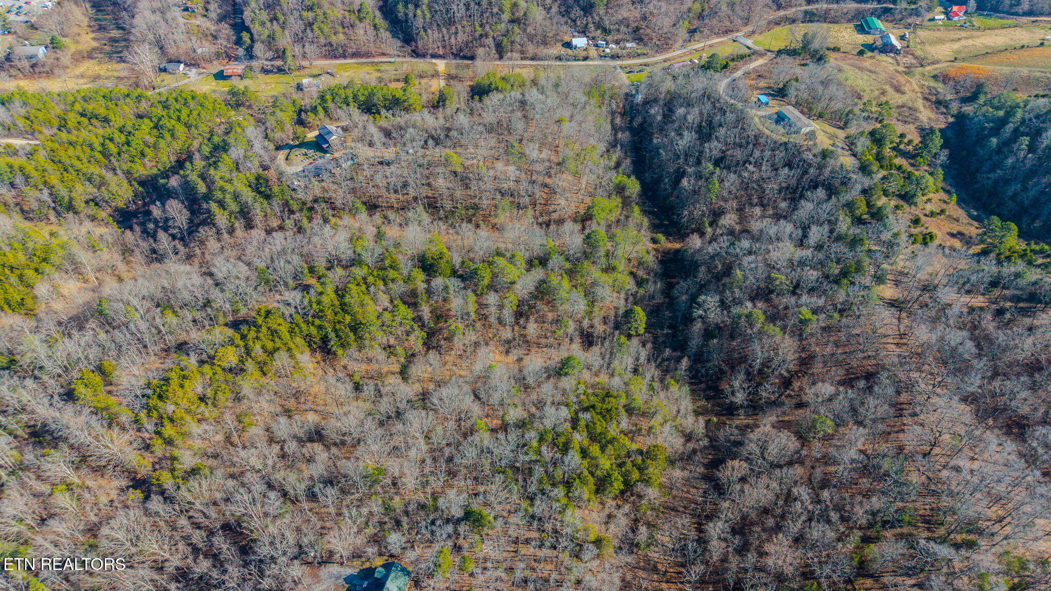 230-3 Reagan Branch Road Seymour TN 37865