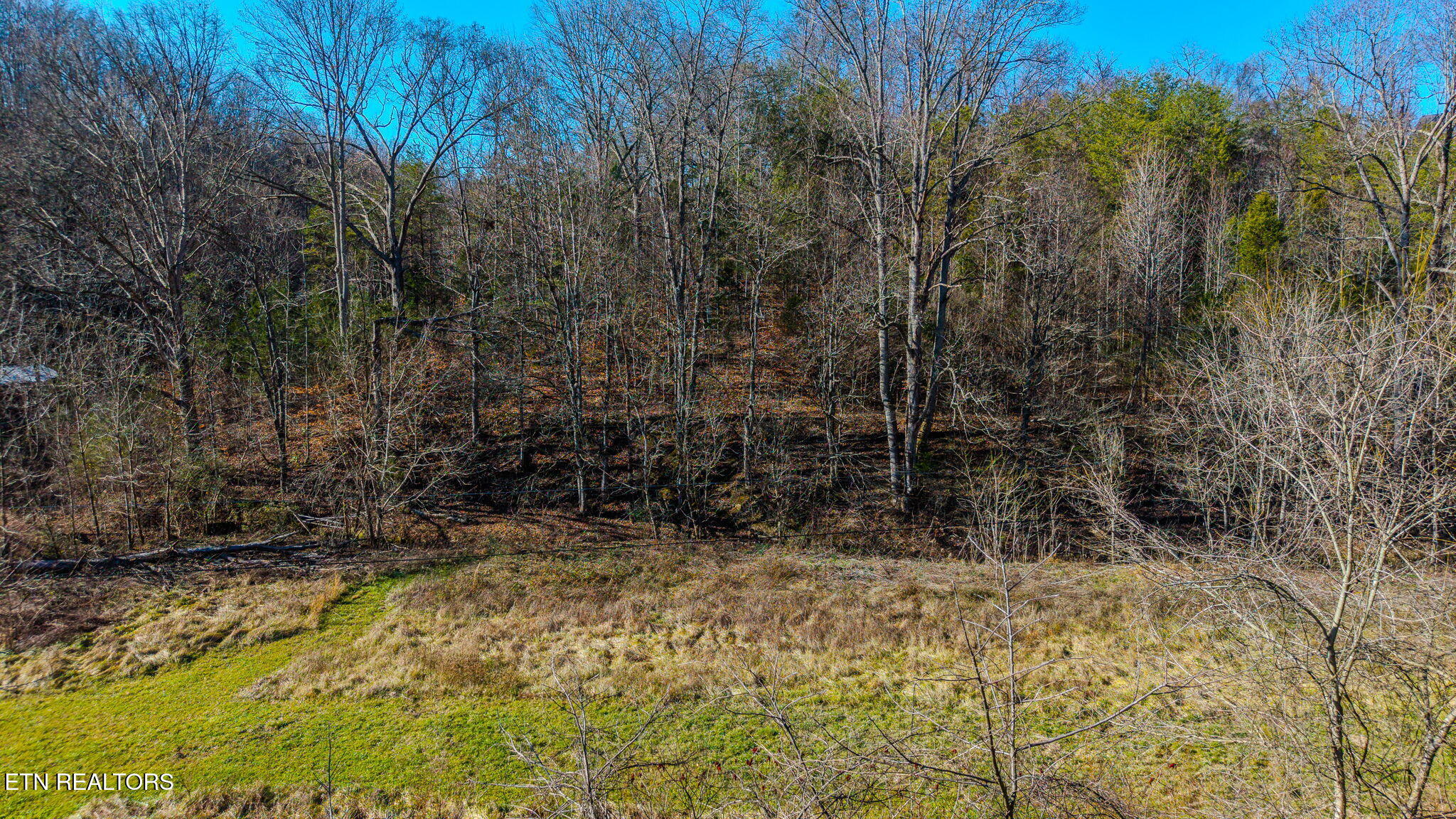 230-3 Reagan Branch Road Seymour TN 37865