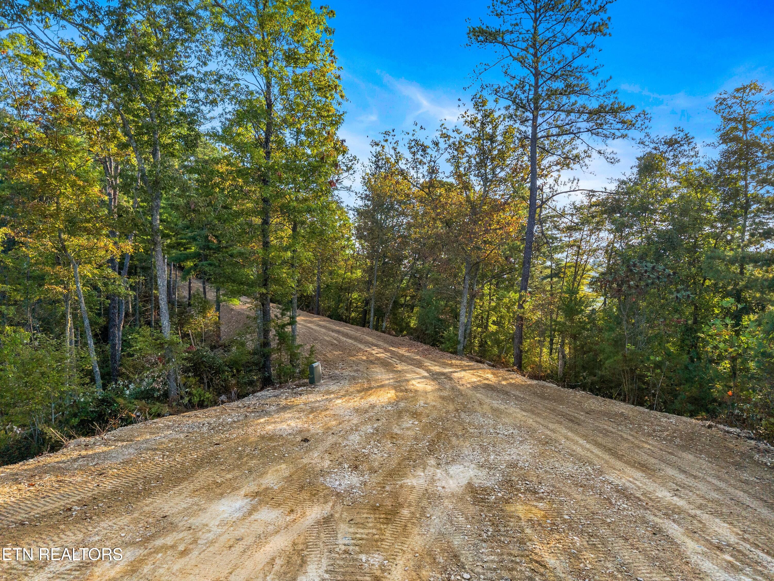 3229 Beth Way Hartford TN 37753
