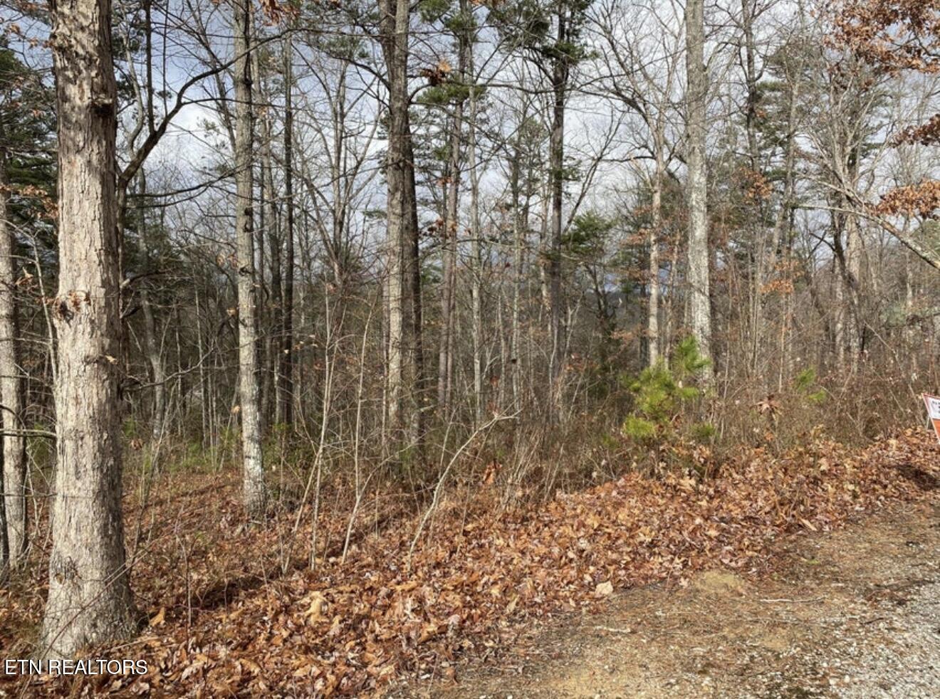Eagle Bluff Jamestown TN 38556