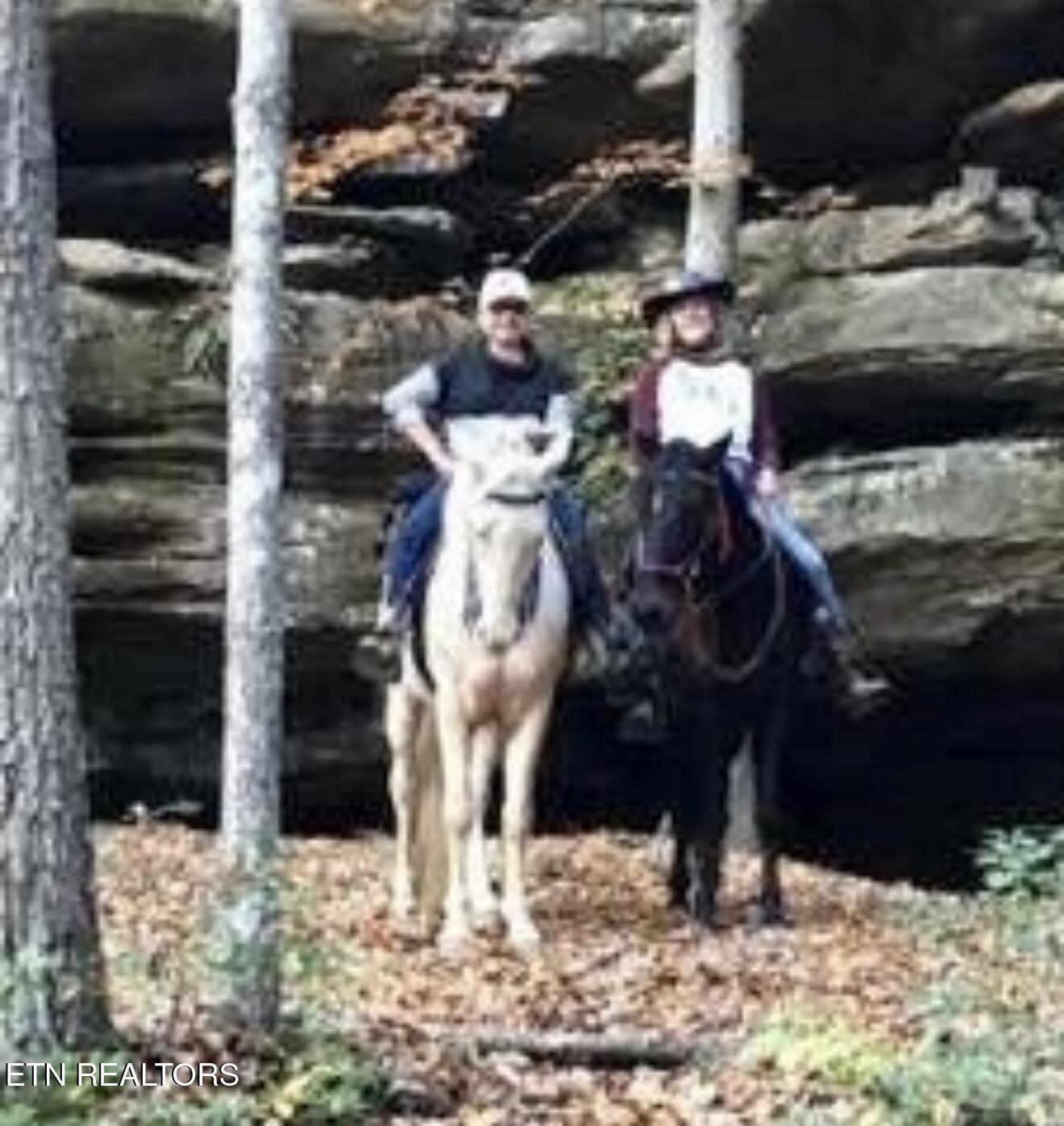 Eagle Bluff Jamestown TN 38556