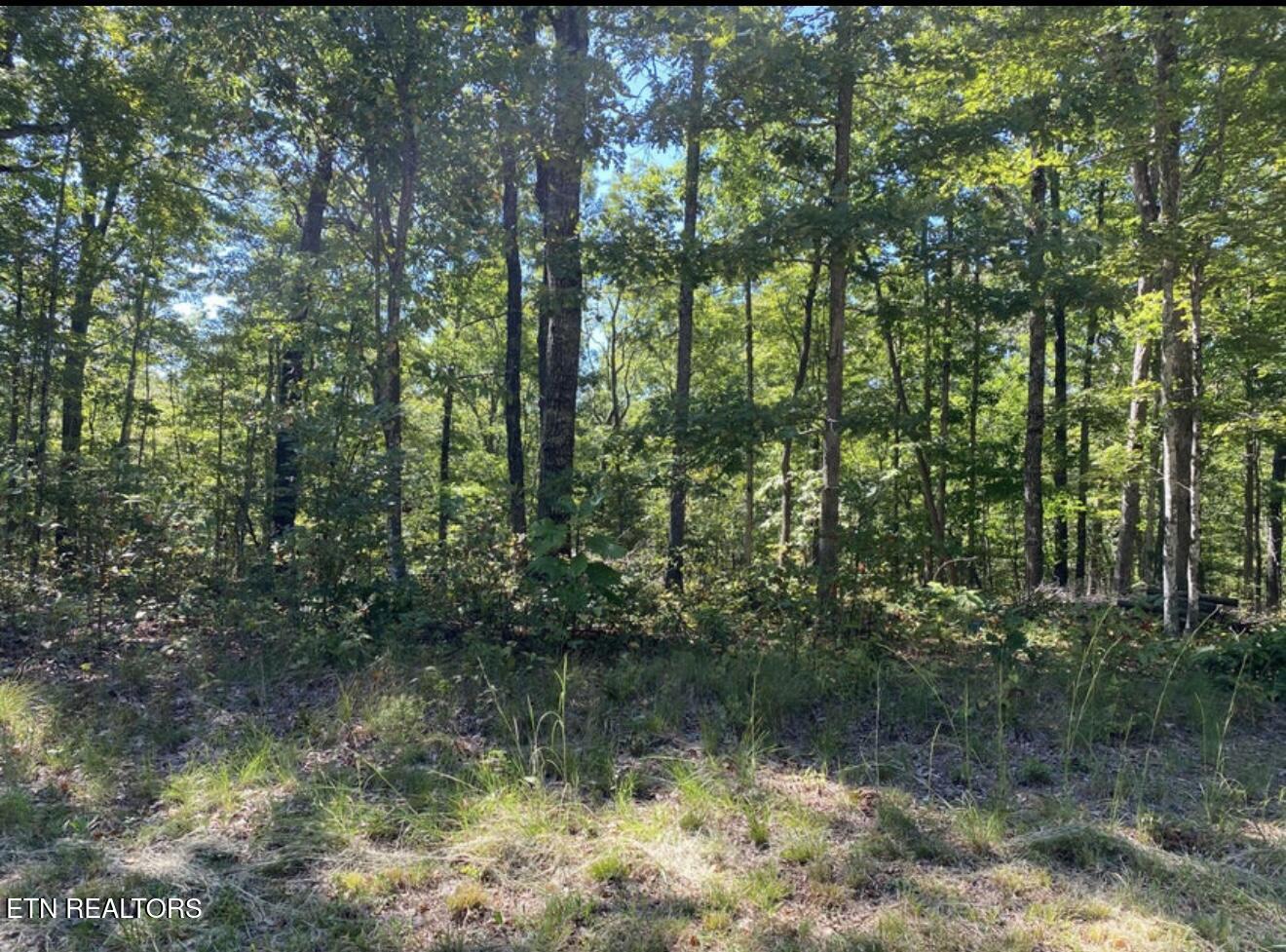 Eagle Bluff Jamestown TN 38556