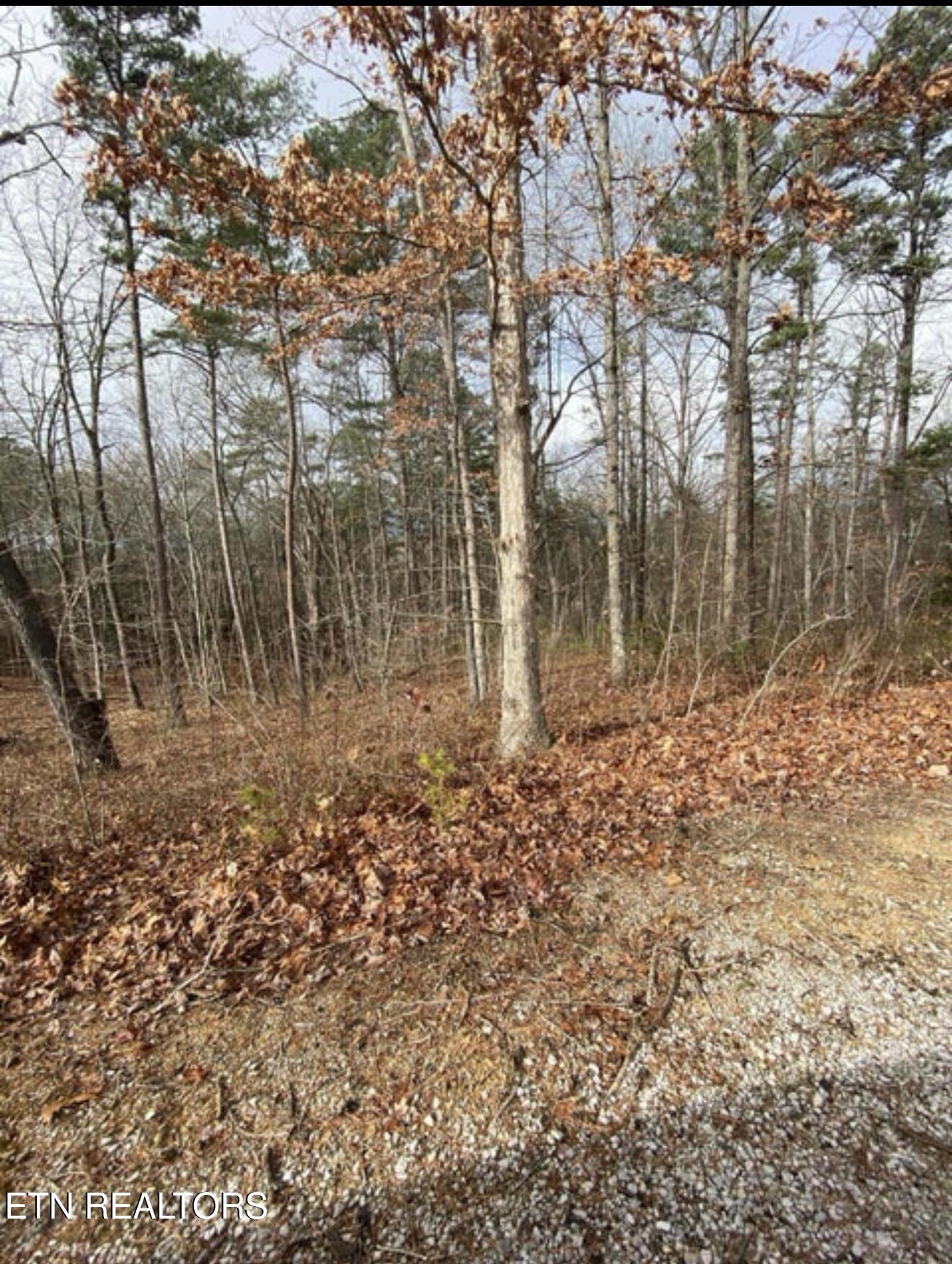 Eagle Bluff Jamestown TN 38556