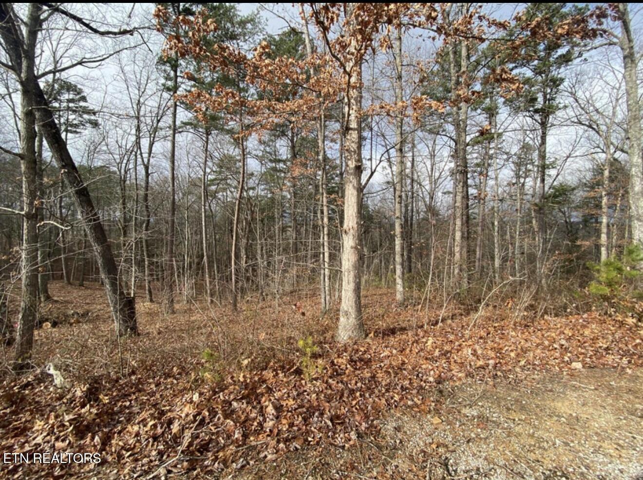 Eagle Bluff Jamestown TN 38556