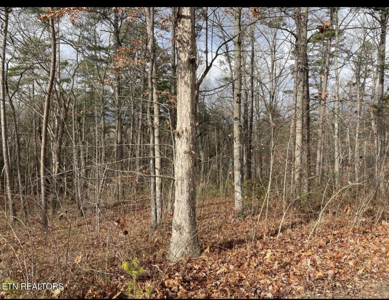 Eagle Bluff Jamestown TN 38556