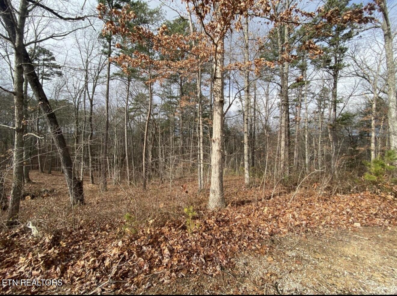 Eagle Bluff Jamestown TN 38556