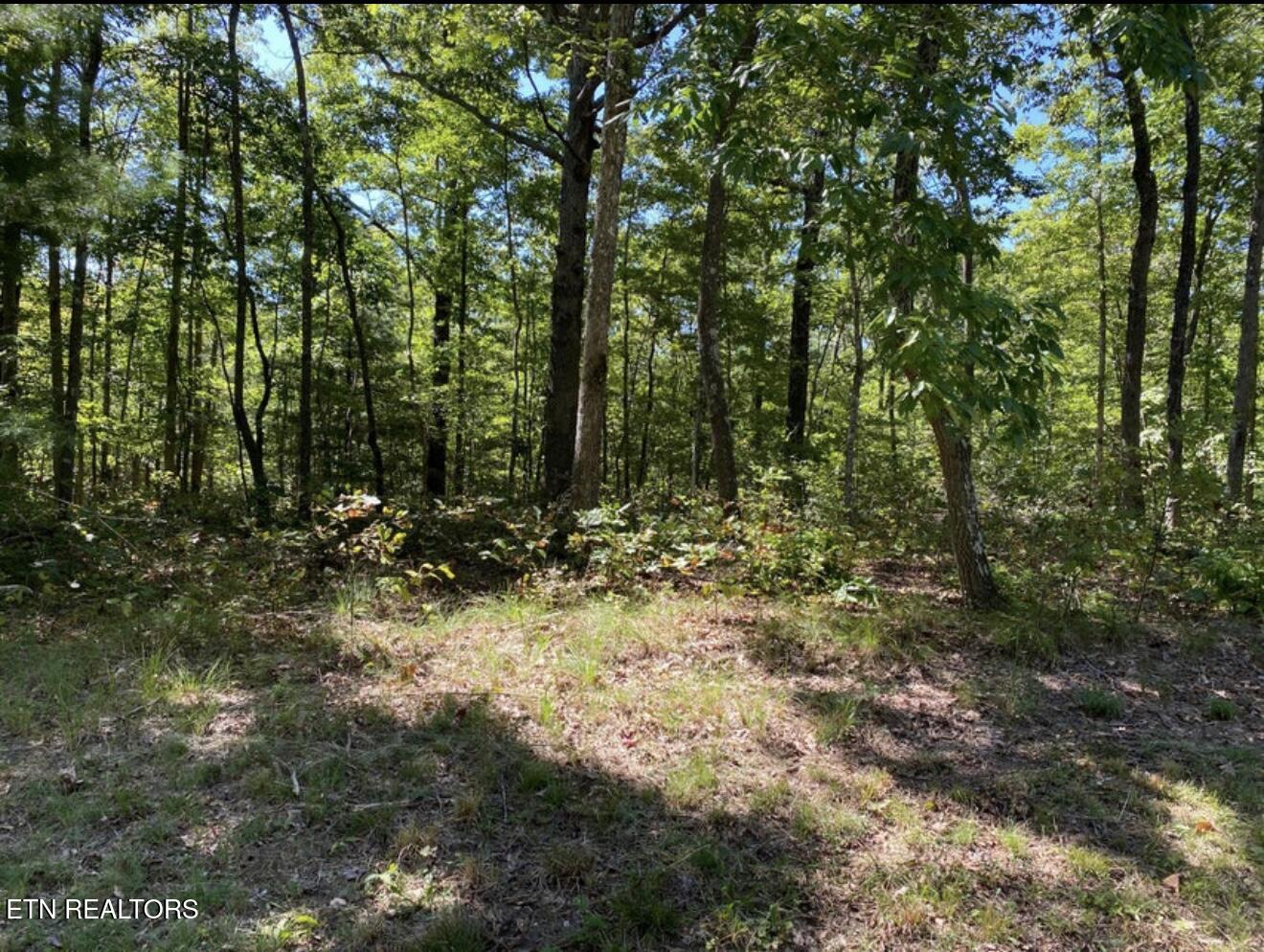 Eagle Bluff Jamestown TN 38556