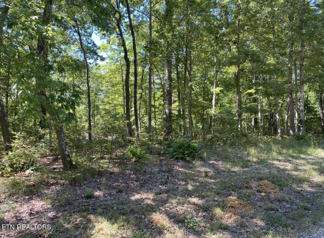 Eagle Bluff Jamestown TN 38556