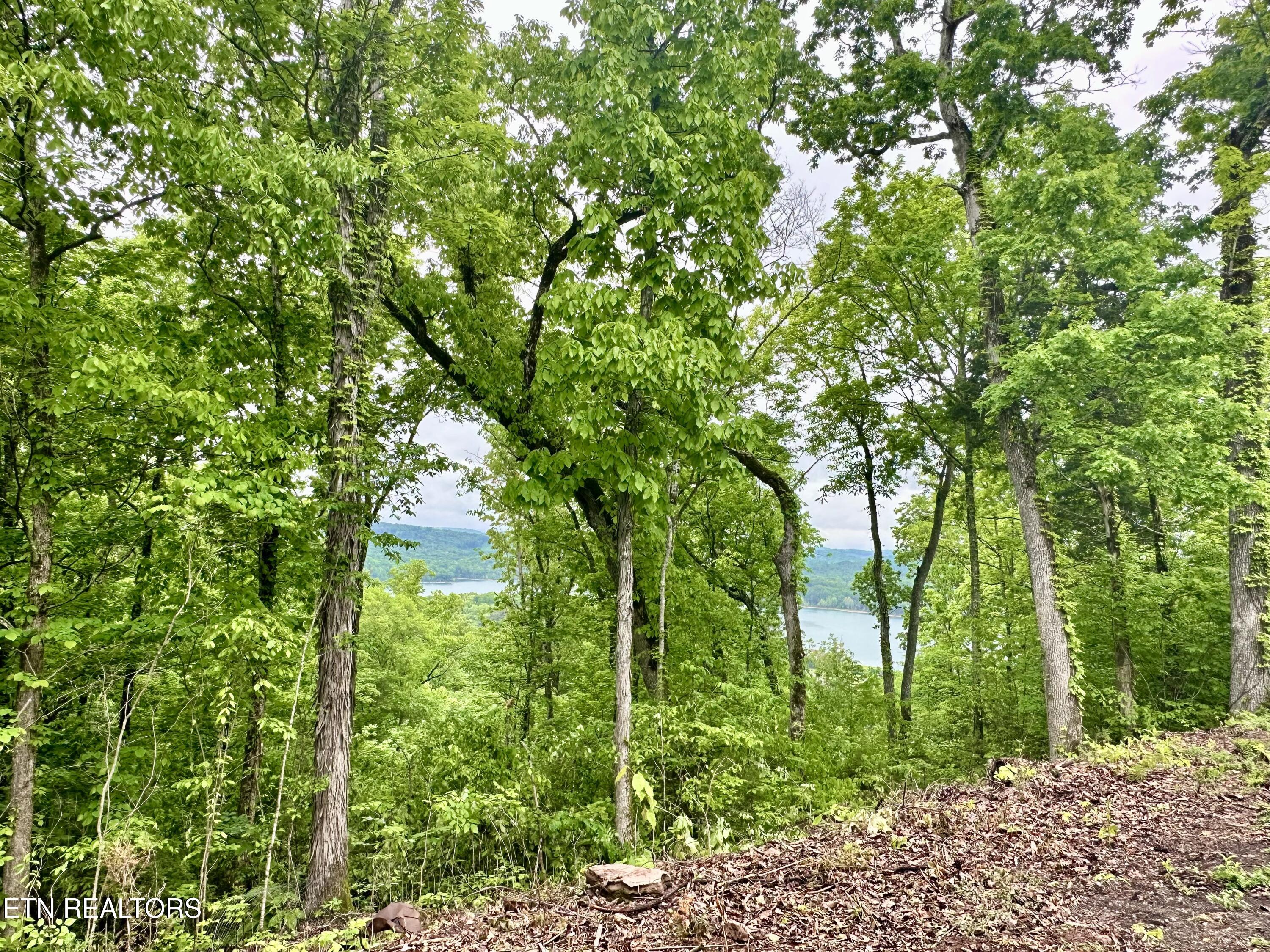 Lot 731 Russell Brothers Road Sharps Chapel TN 37866