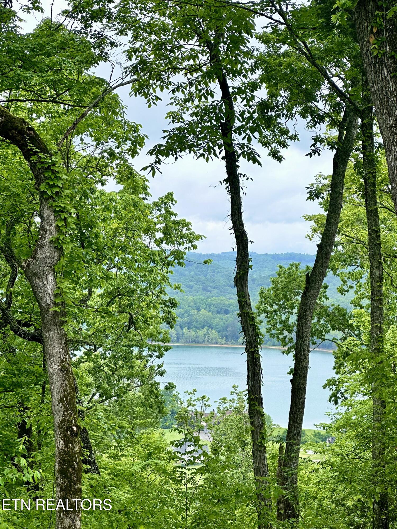 Lot 731 Russell Brothers Road Sharps Chapel TN 37866