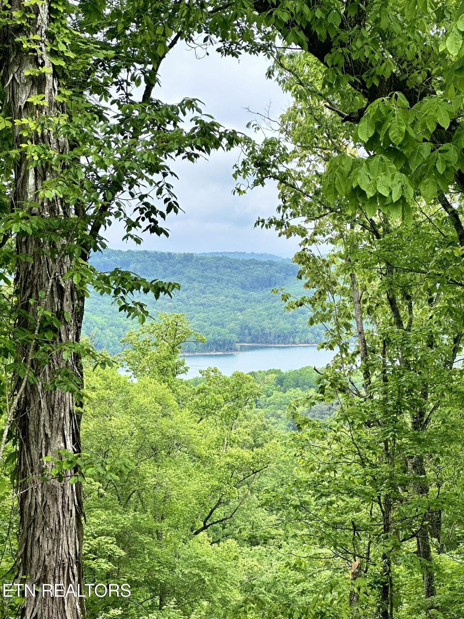 Lot 731 Russell Brothers Road Sharps Chapel TN 37866