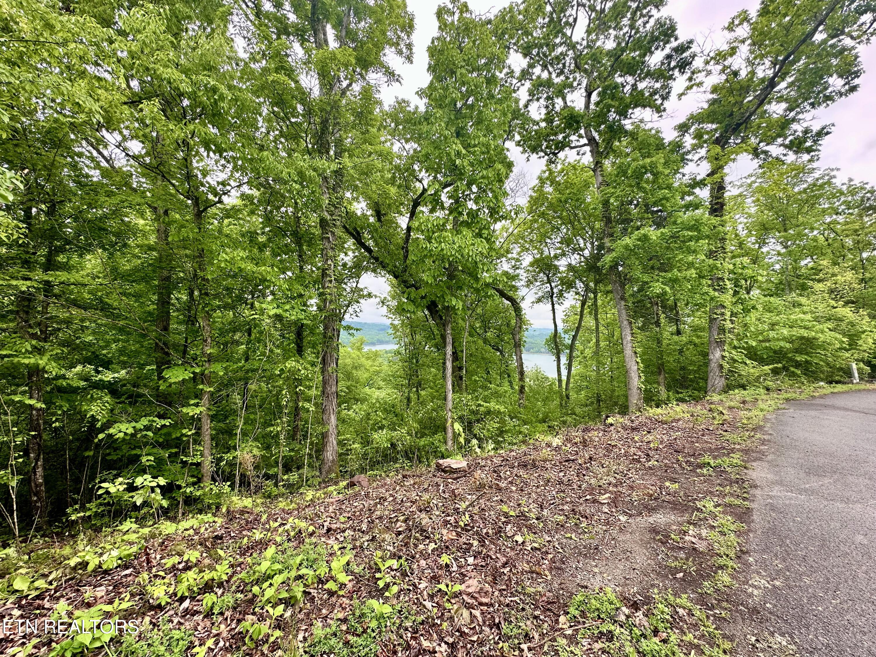 Lot 731 Russell Brothers Road Sharps Chapel TN 37866