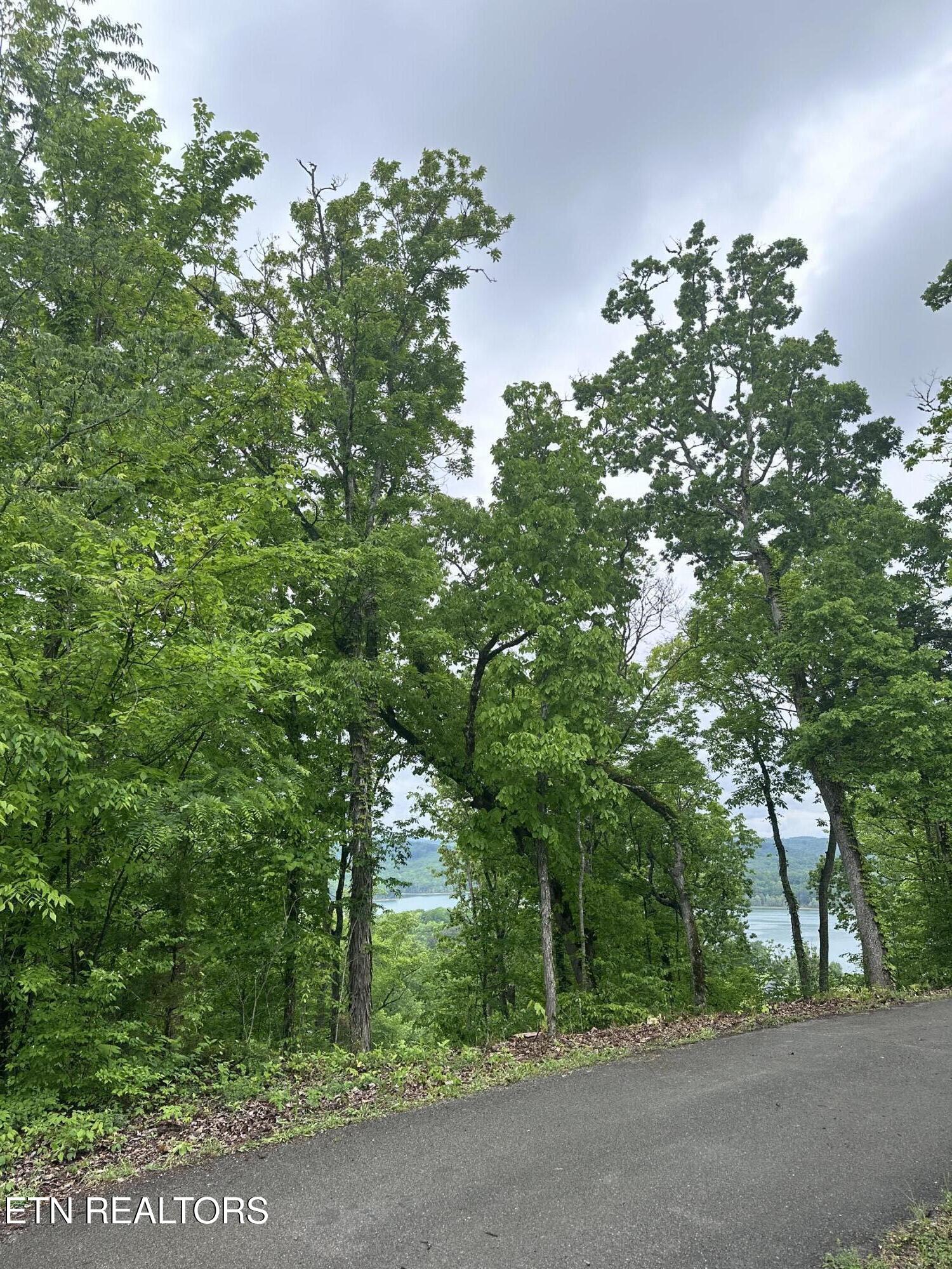 Lot 731 Russell Brothers Road Sharps Chapel TN 37866