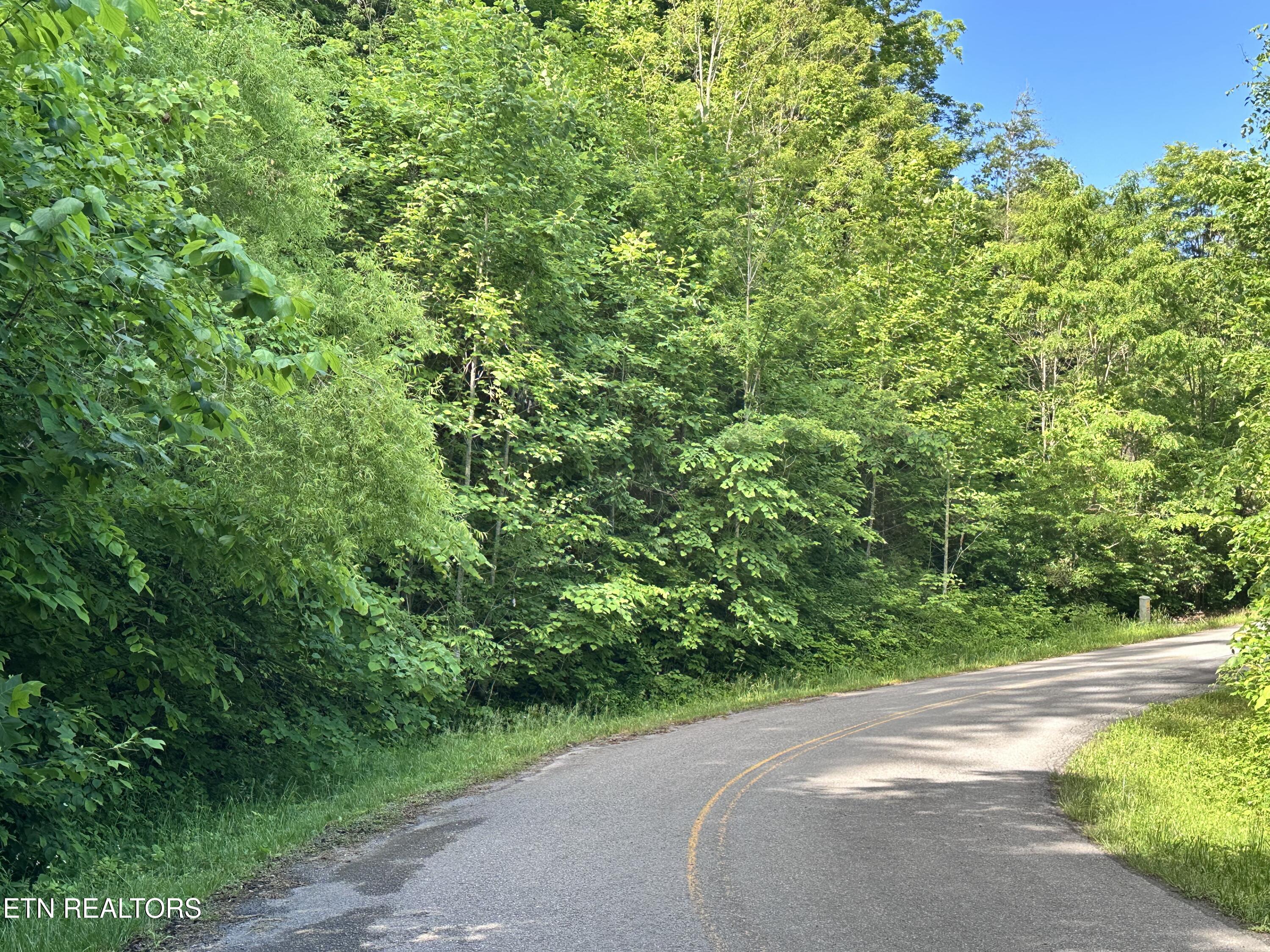 Lot 731 Russell Brothers Road Sharps Chapel TN 37866