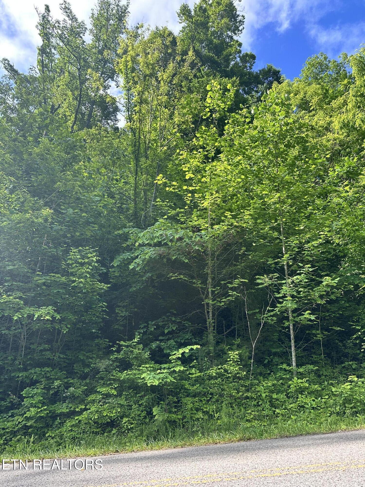 Lot 731 Russell Brothers Road Sharps Chapel TN 37866