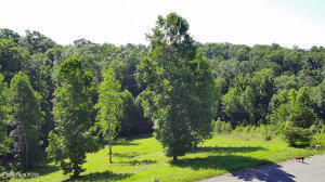 Cypress Drive Dandridge TN 37725