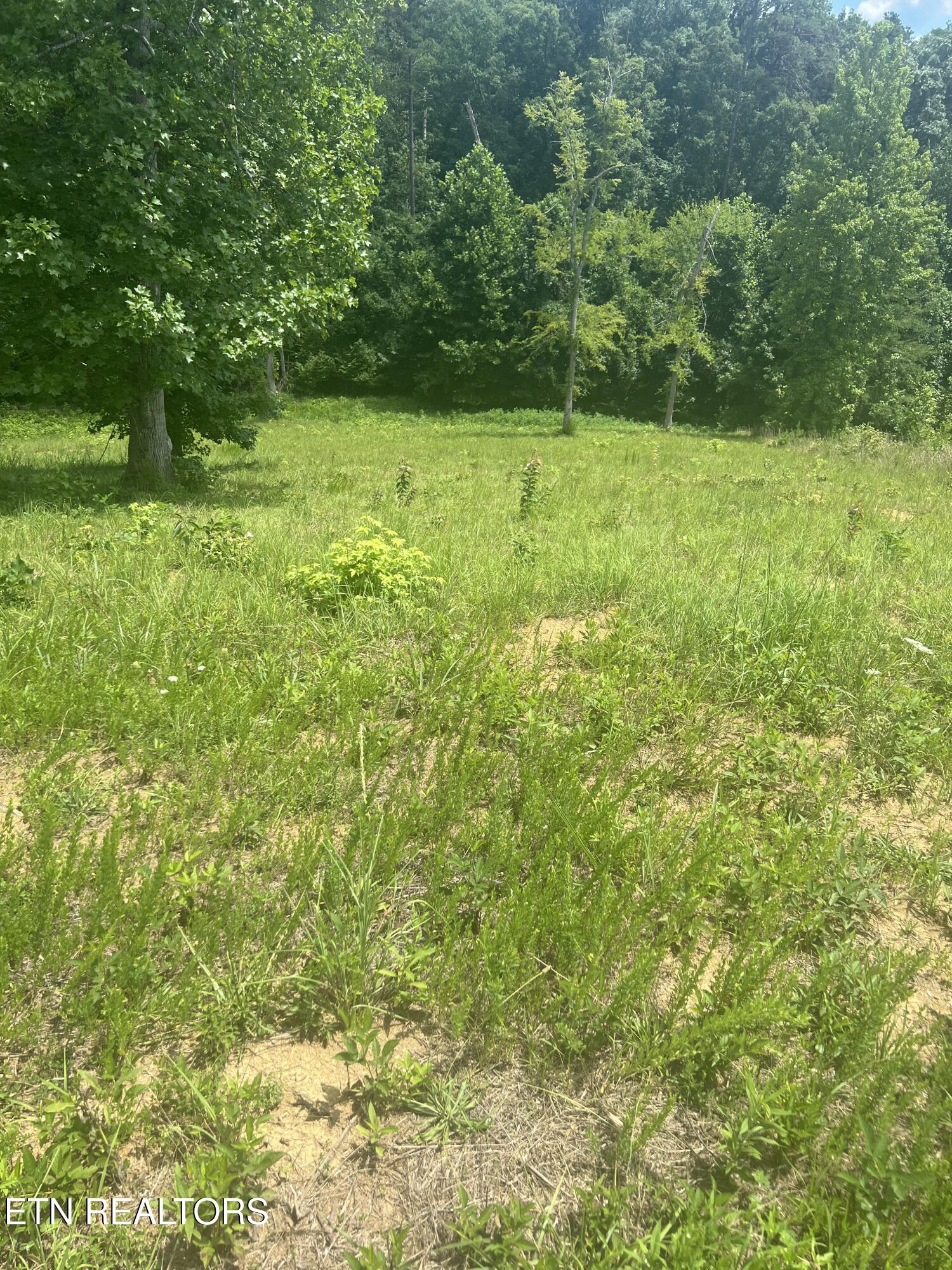 Cypress Drive Dandridge TN 37725