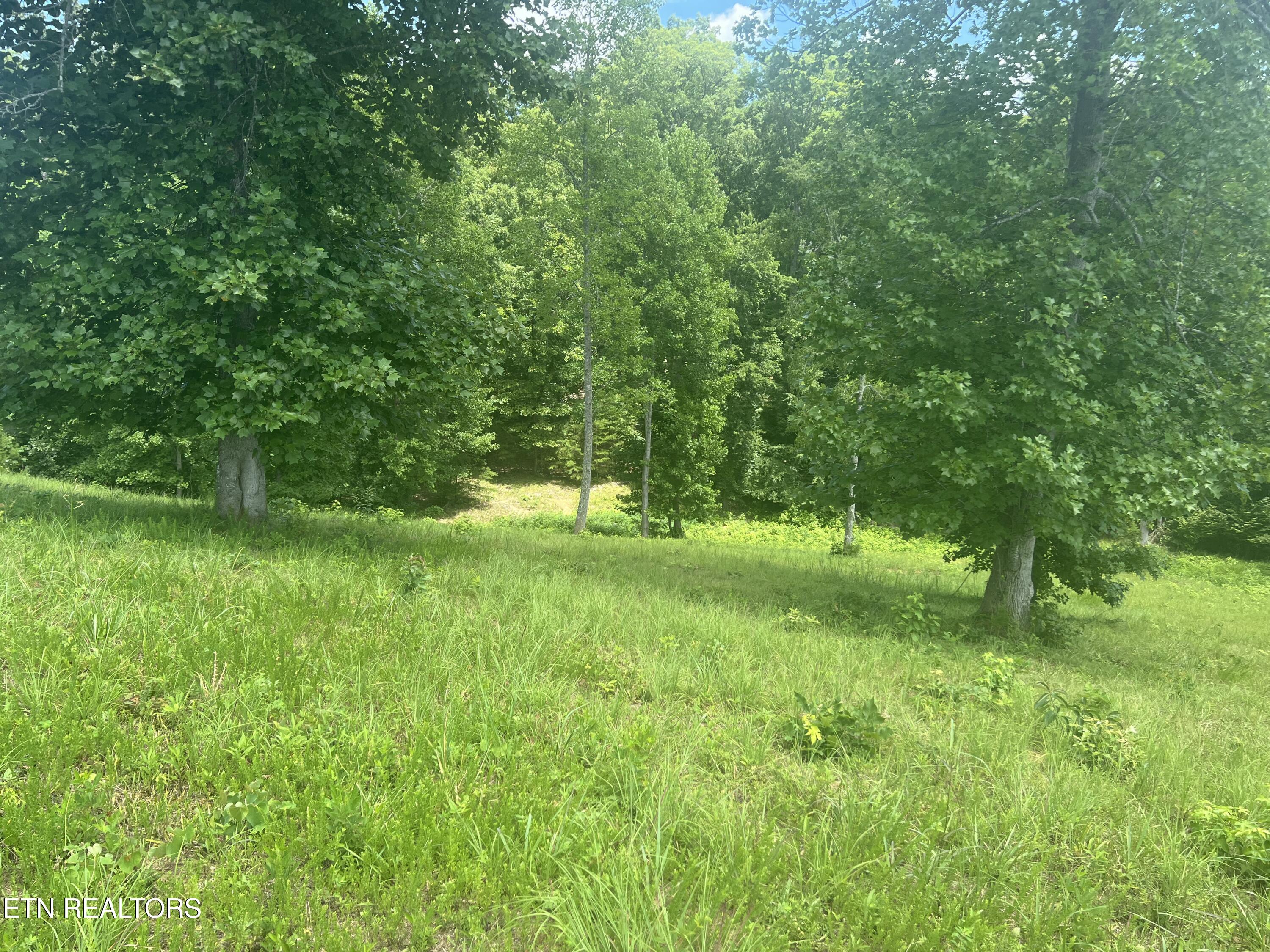 Cypress Drive Dandridge TN 37725