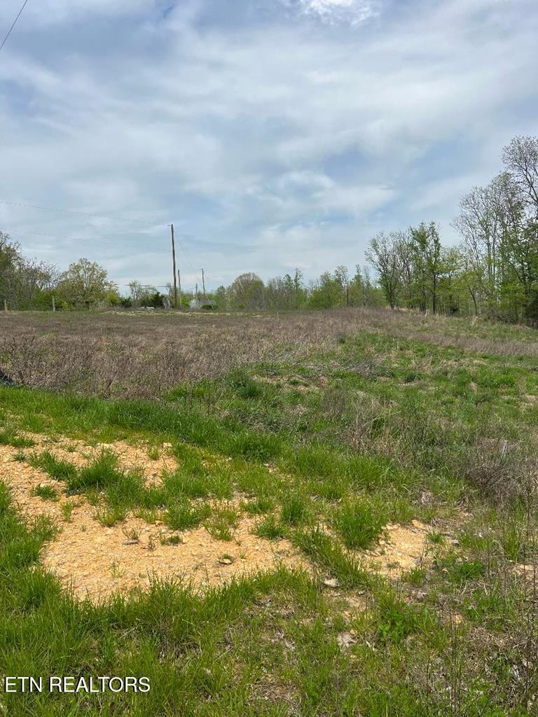 Lot 42 S Peninsulas Edge Drive Smithville TN 37166