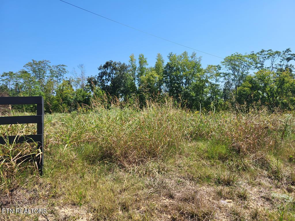 Lot 42 S Peninsulas Edge Drive Smithville TN 37166