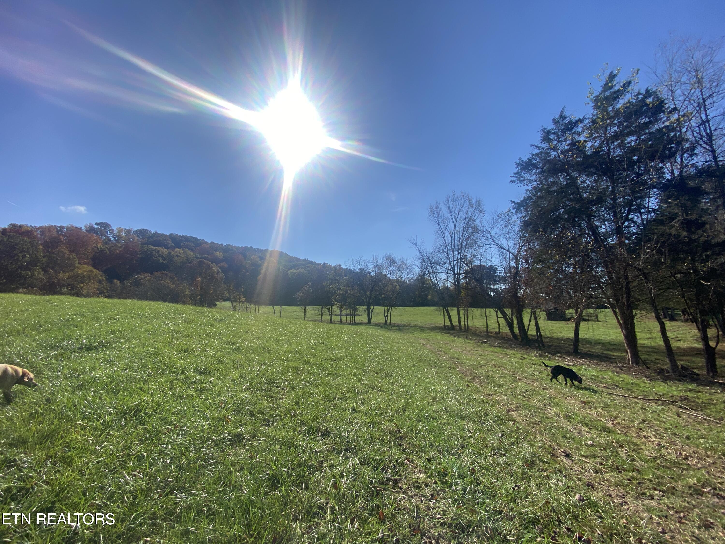 Paint Rock Valley Road Philadelphia TN 37846