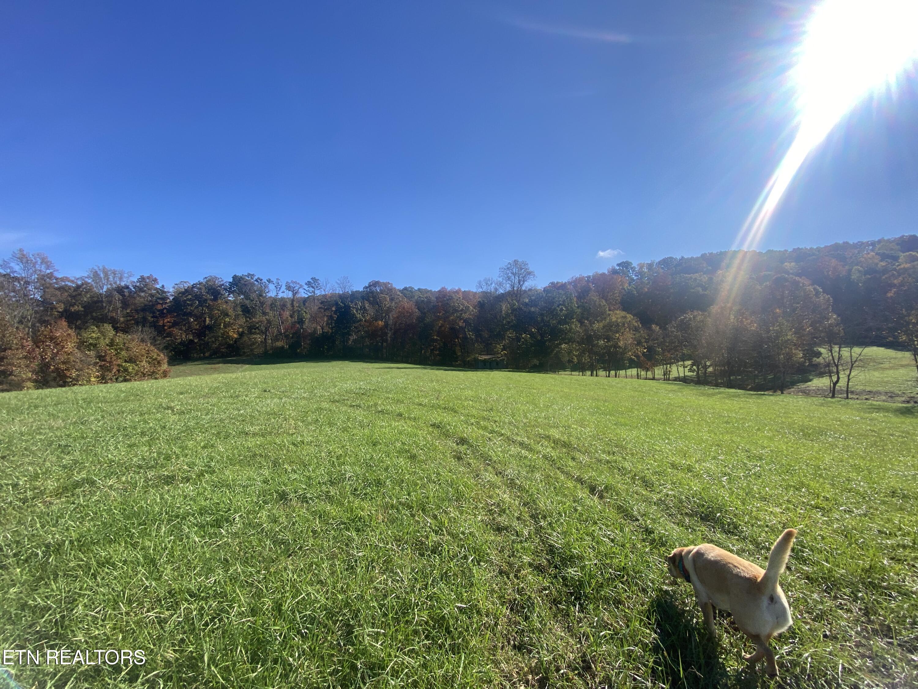 Paint Rock Valley Road Philadelphia TN 37846