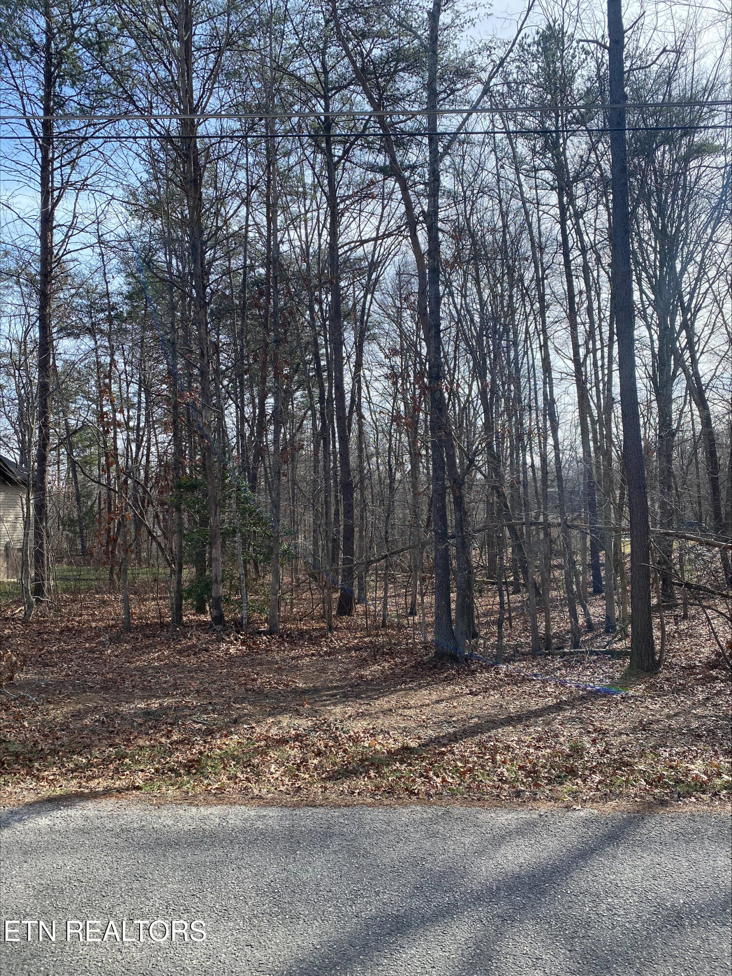 231 Thrushwood Drive Fairfield Glade TN 38558