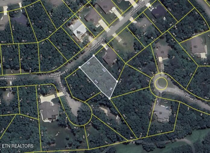 231 Thrushwood Drive Fairfield Glade TN 38558