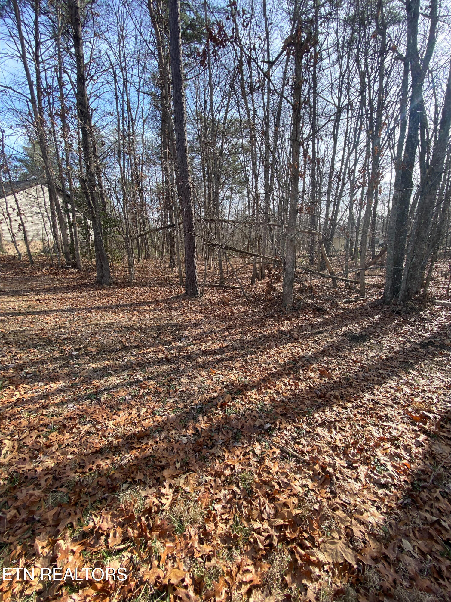 231 Thrushwood Drive Fairfield Glade TN 38558