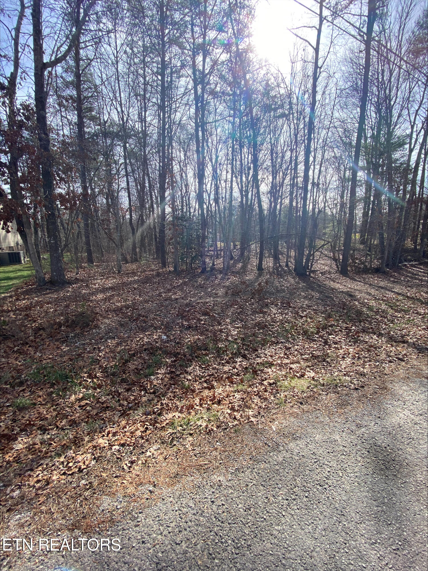 231 Thrushwood Drive Fairfield Glade TN 38558