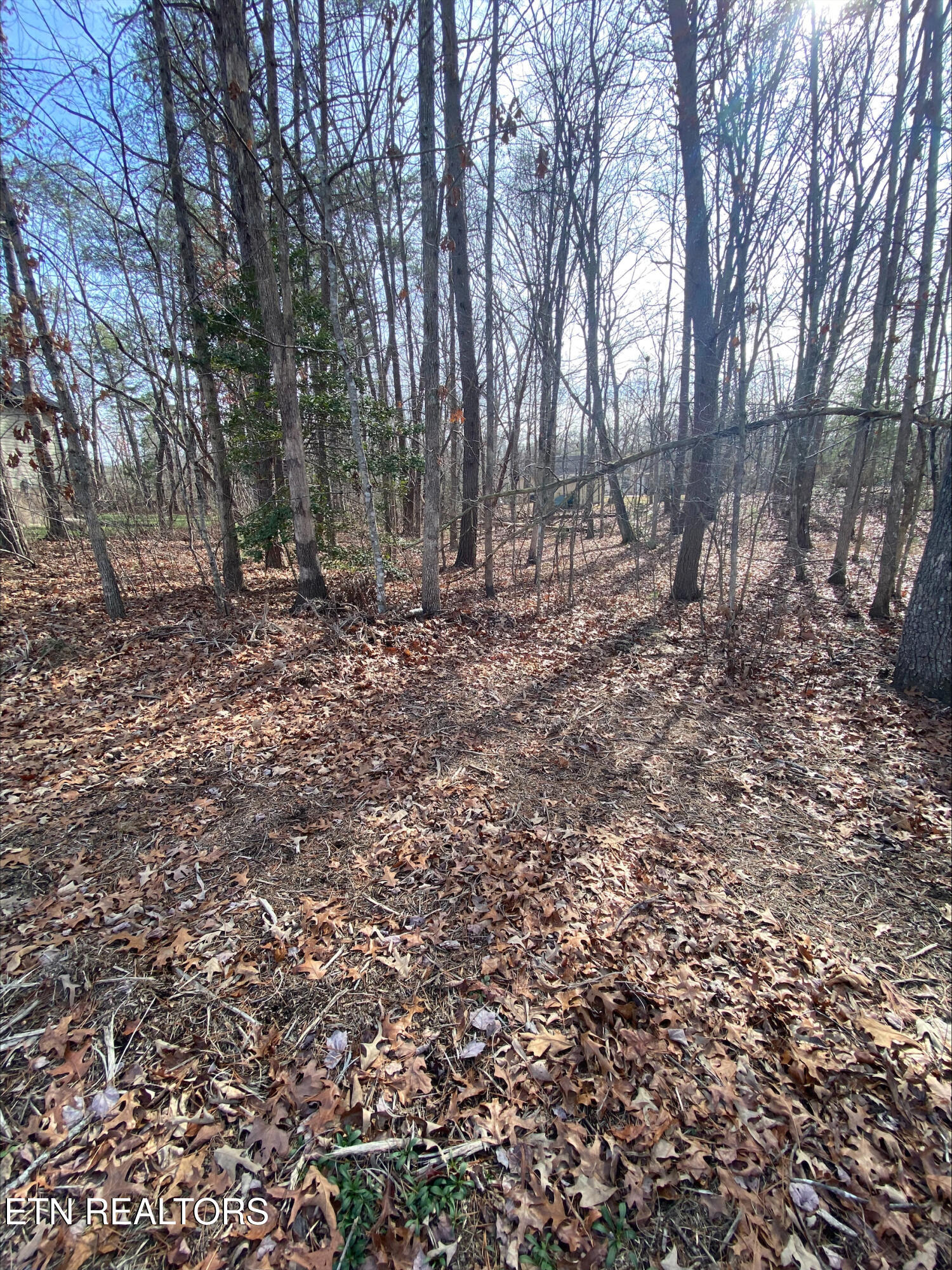 231 Thrushwood Drive Fairfield Glade TN 38558