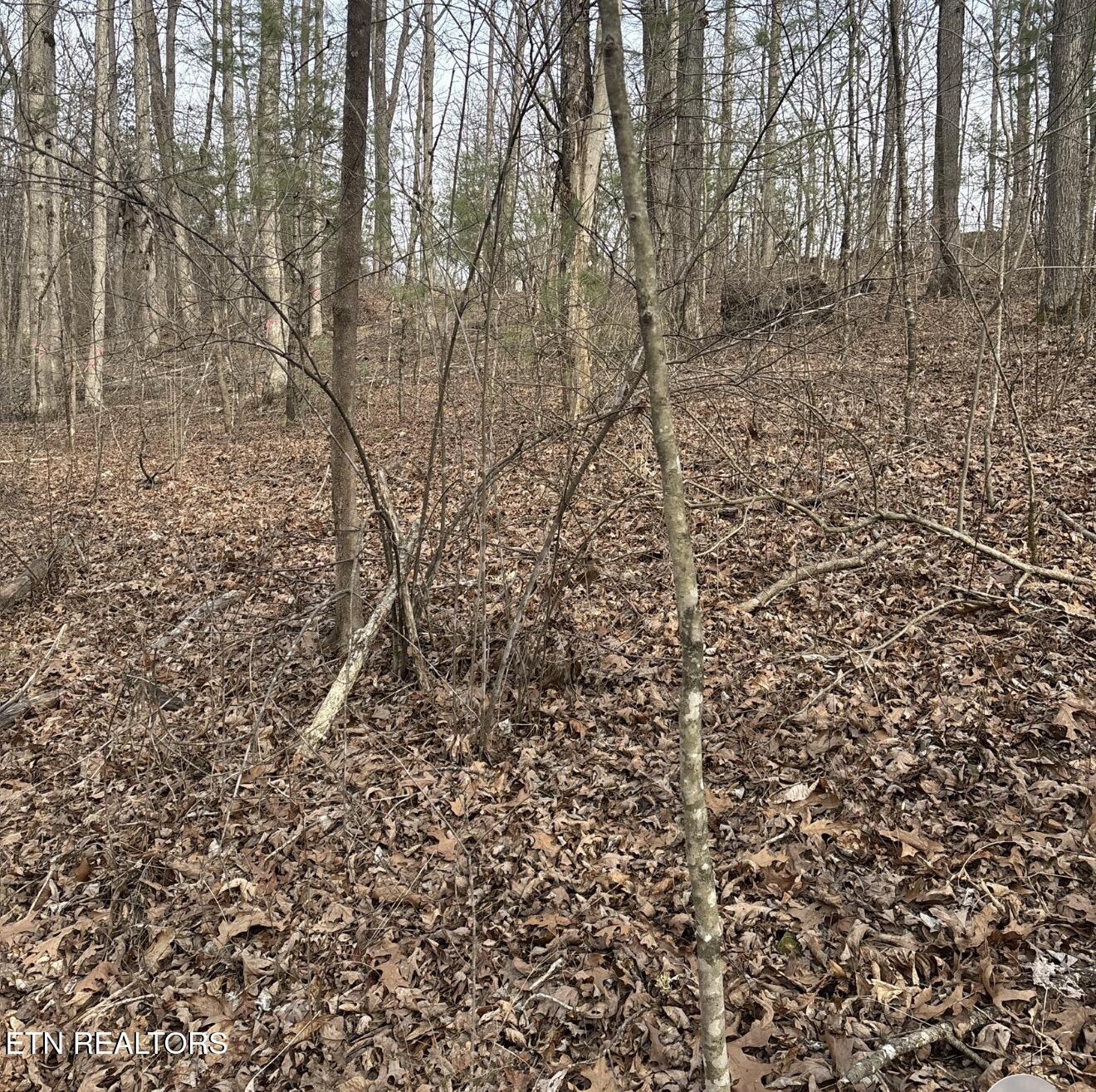 Brown Creek Drive Crossville TN 38571