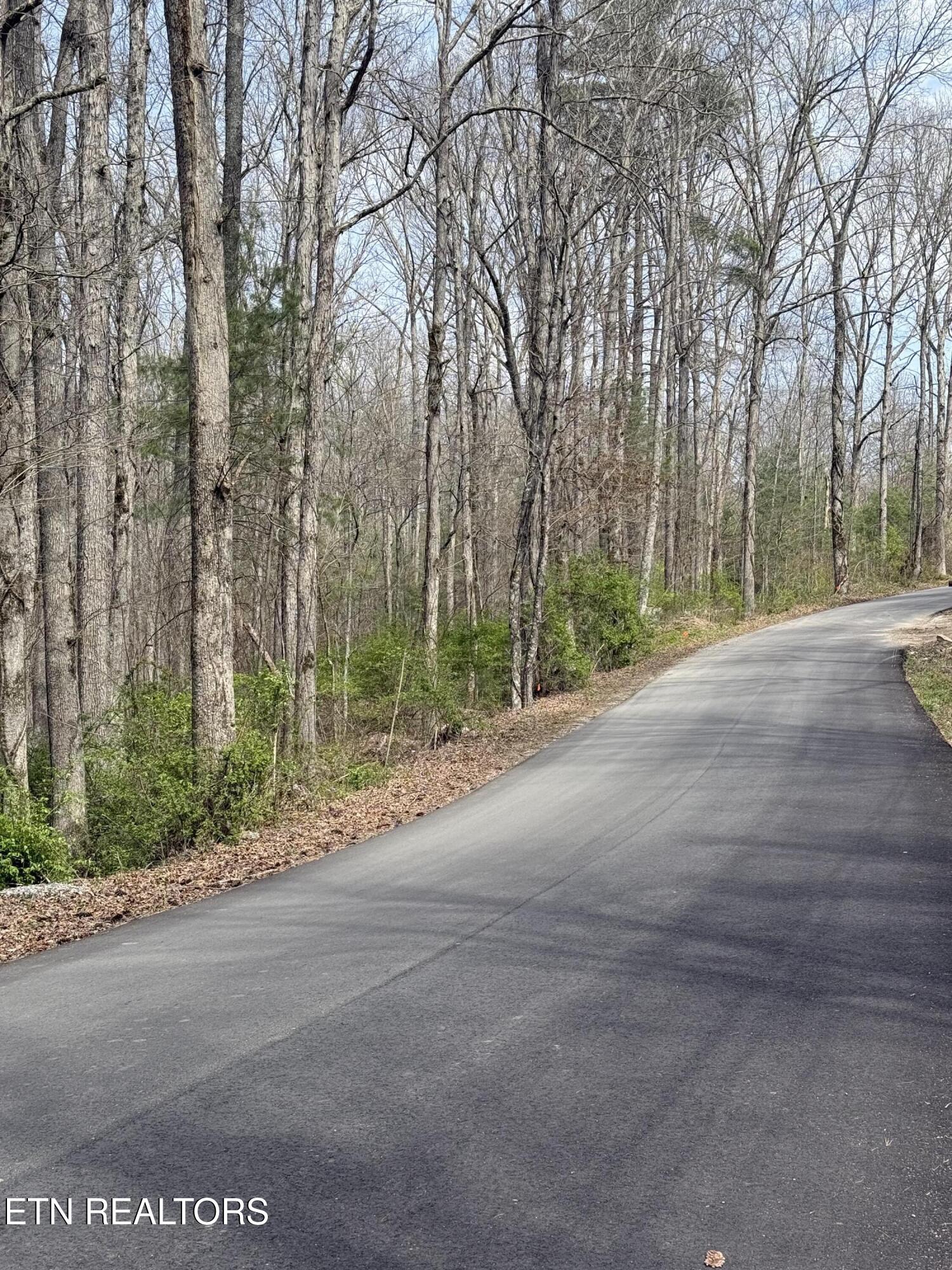 Brown Creek Drive Crossville TN 38571