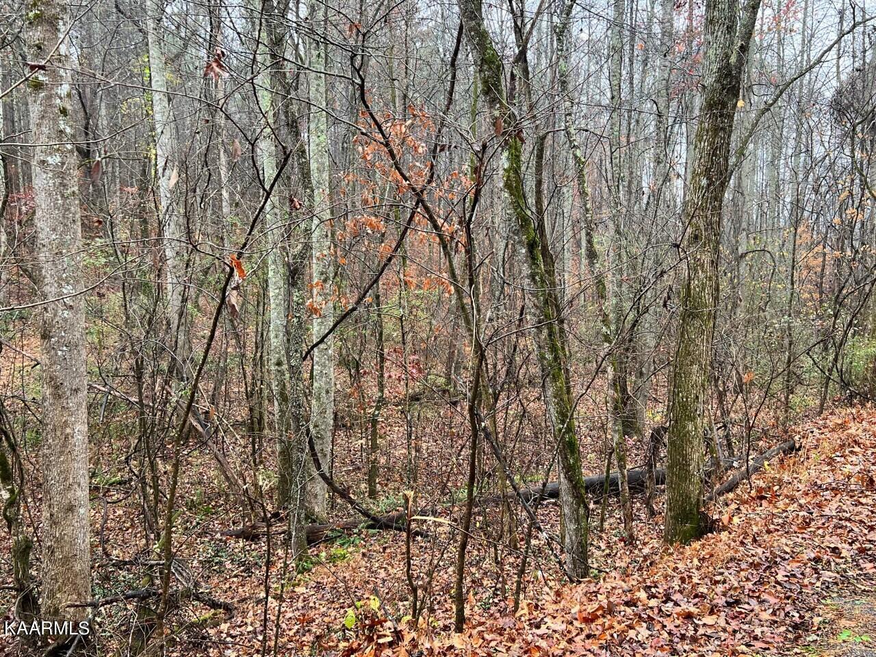 Lot 7 Butler Road Decatur TN 37322