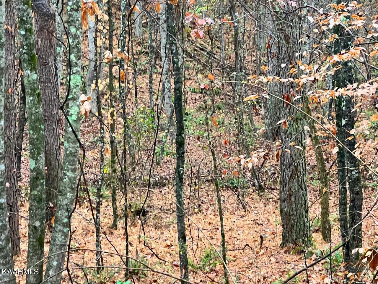 Lot 7 Butler Road Decatur TN 37322