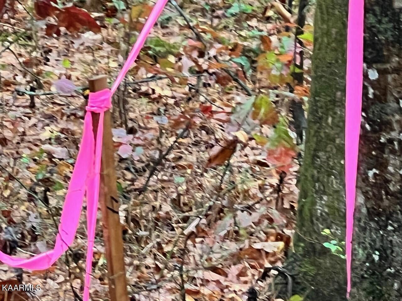 Lot 7 Butler Road Decatur TN 37322