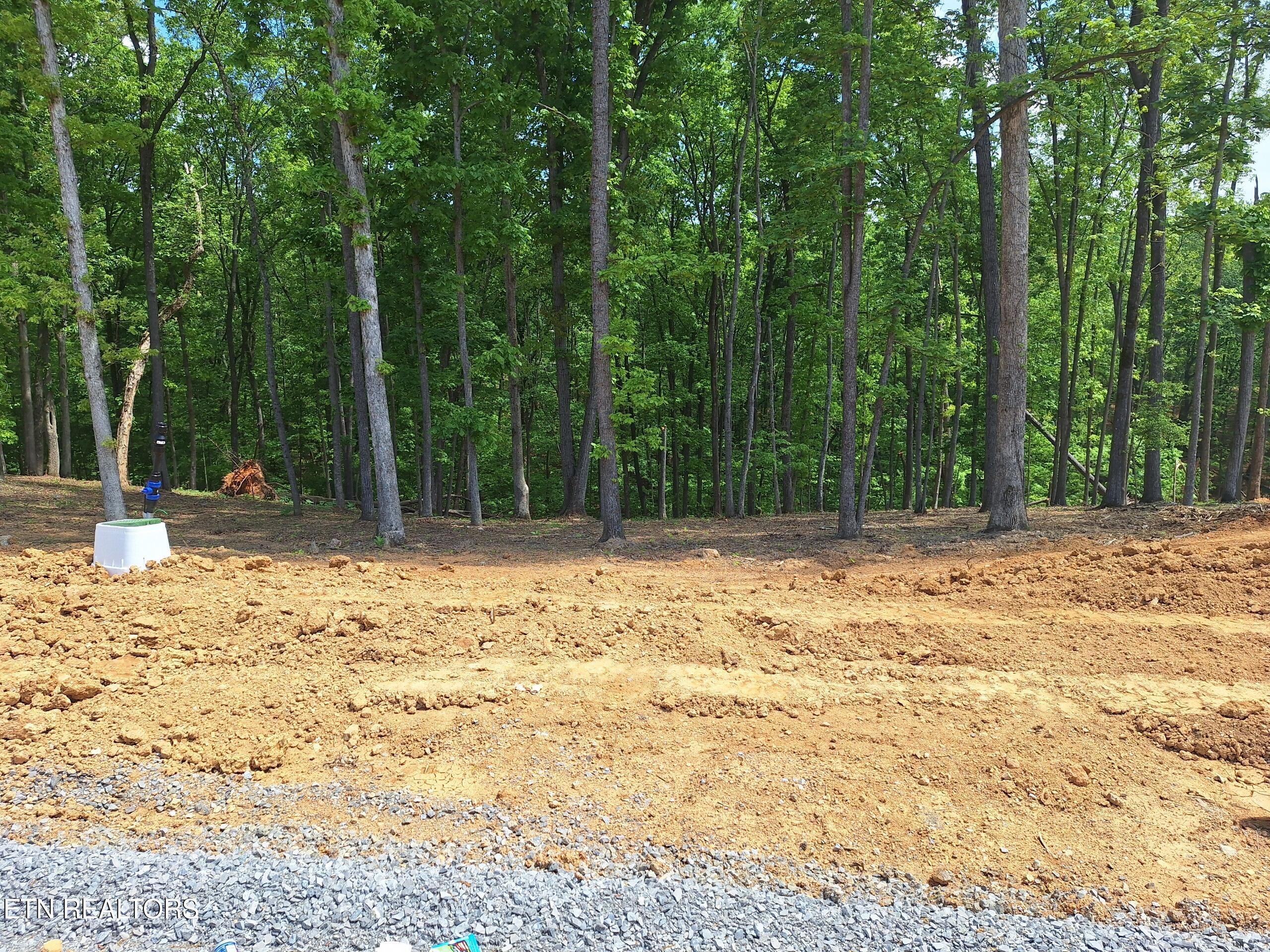 121 Cherry Tree Lane Loudon TN 37774