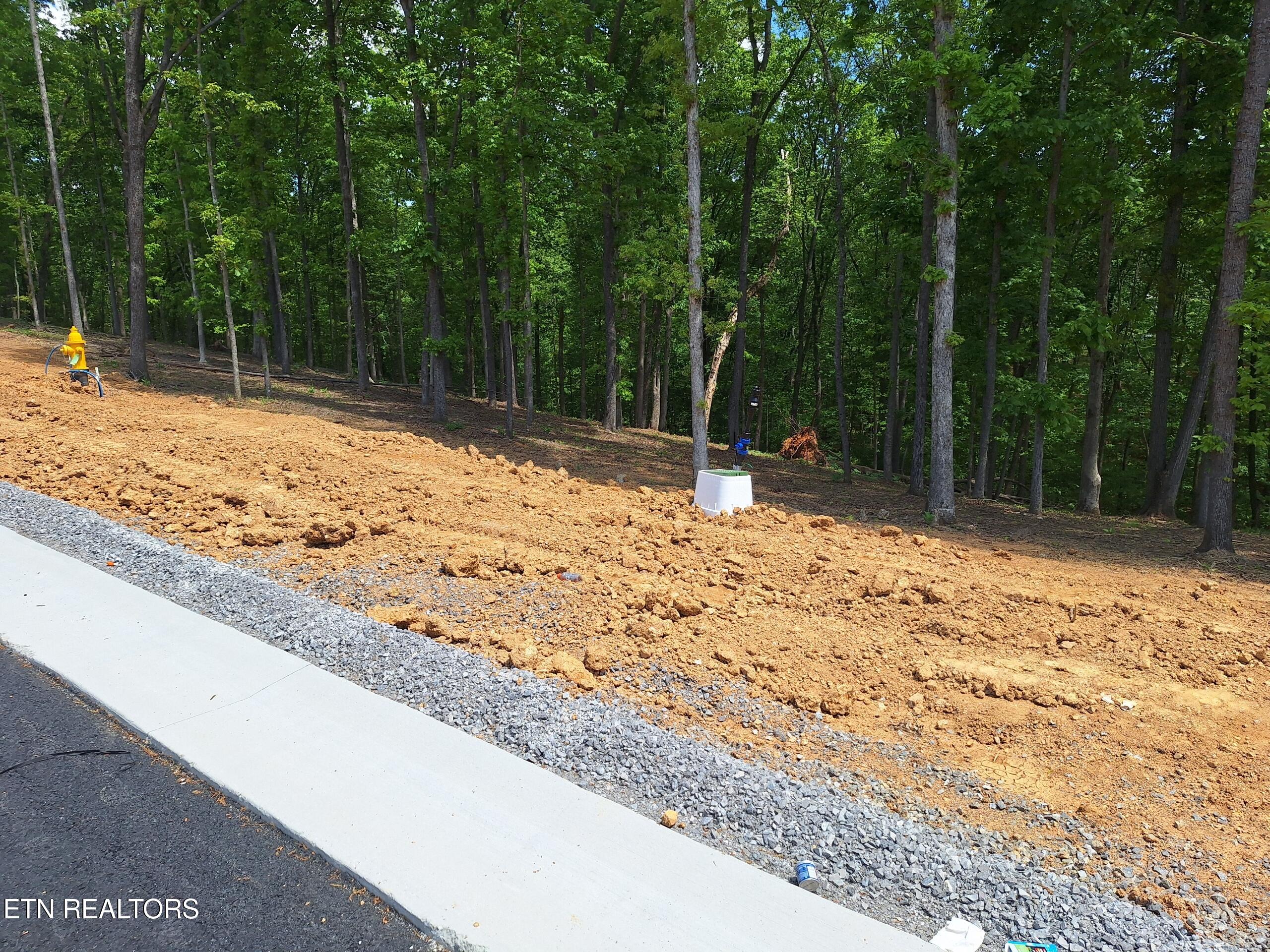 121 Cherry Tree Lane Loudon TN 37774