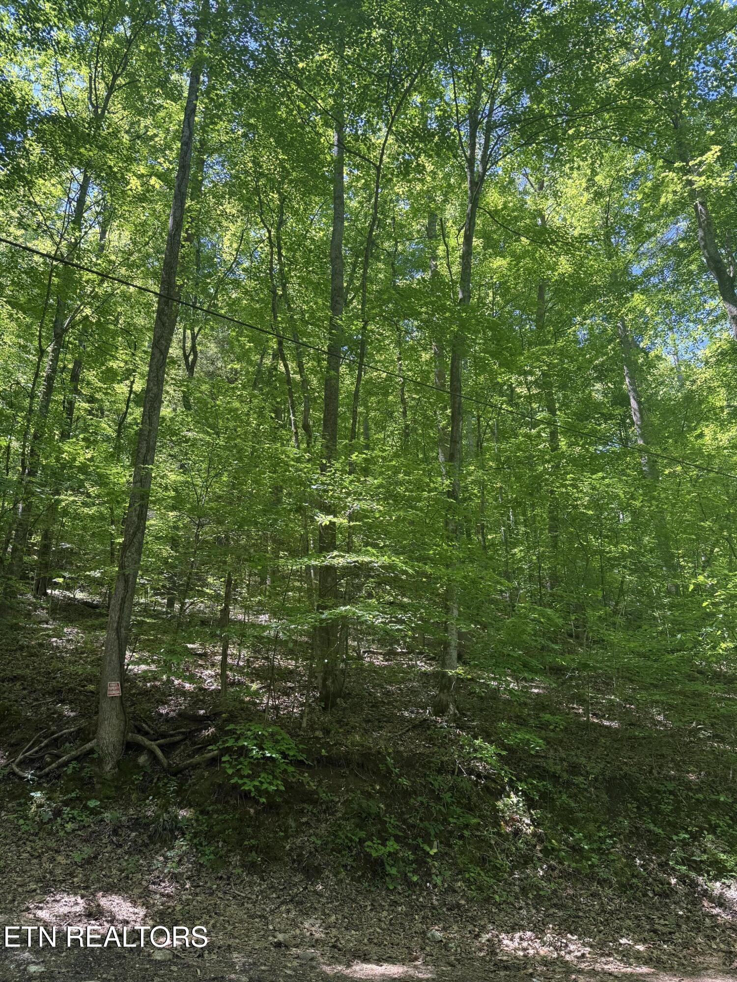 White Oak Lane Caryville TN 37714