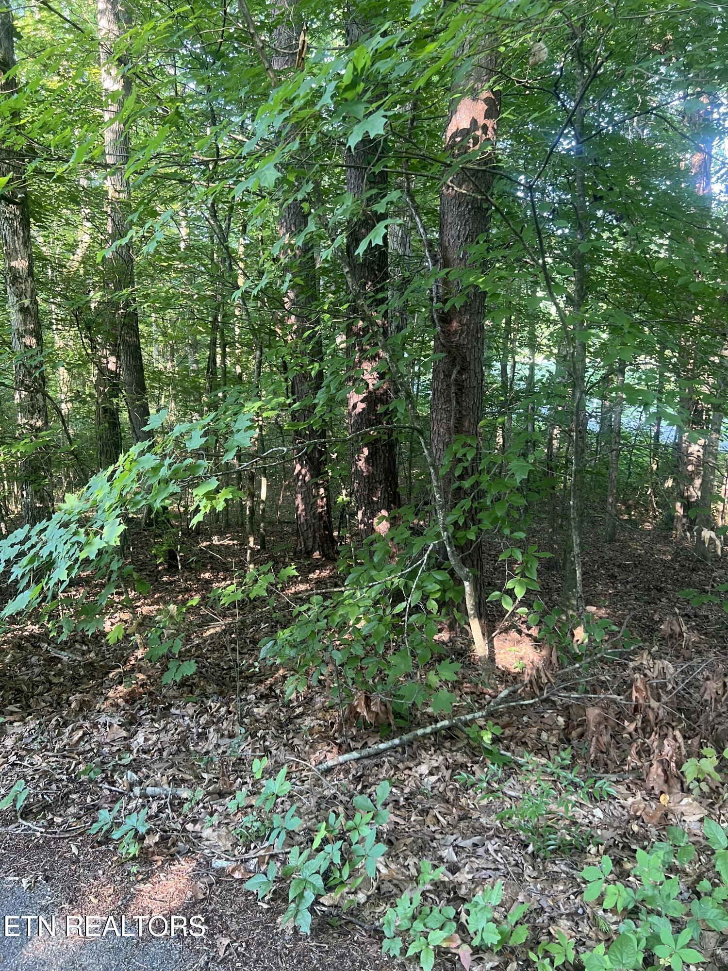 12308 Yarnell Road Knoxville TN 37932