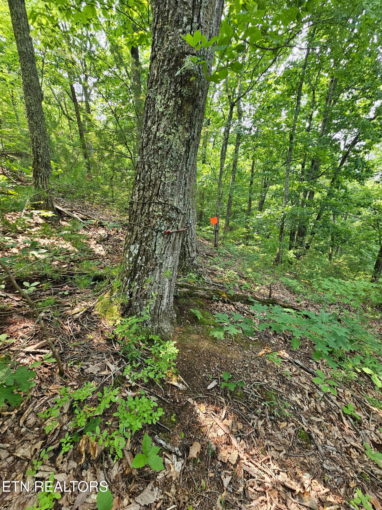 Sharp Road Sevierville TN 37876